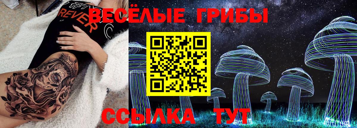 Киреевск  Псилоцибиновые грибы ЛСД  Вход с VPN 